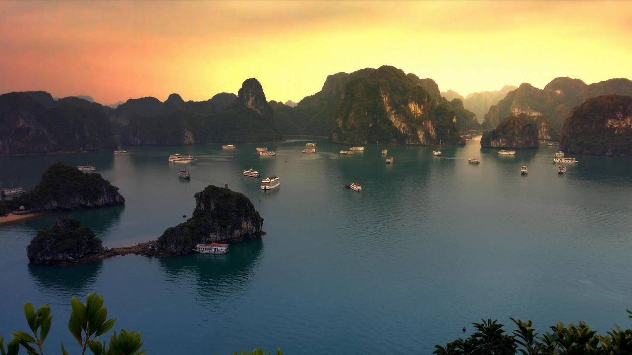 网红商城
